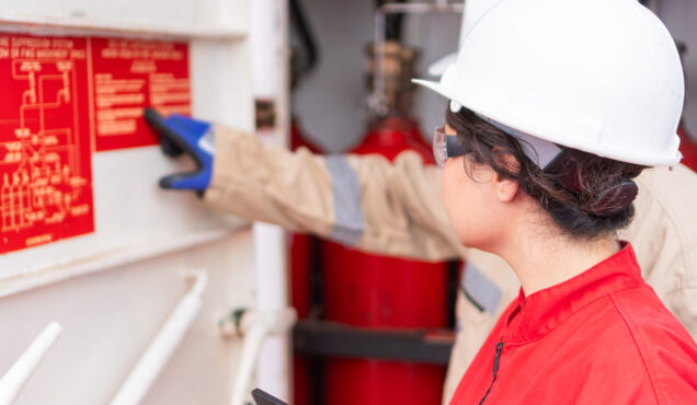 Two workers collaborating on inspections at industrial facility